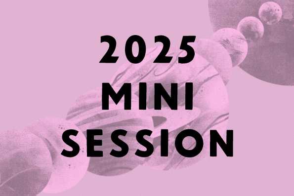 2025 Mini Session